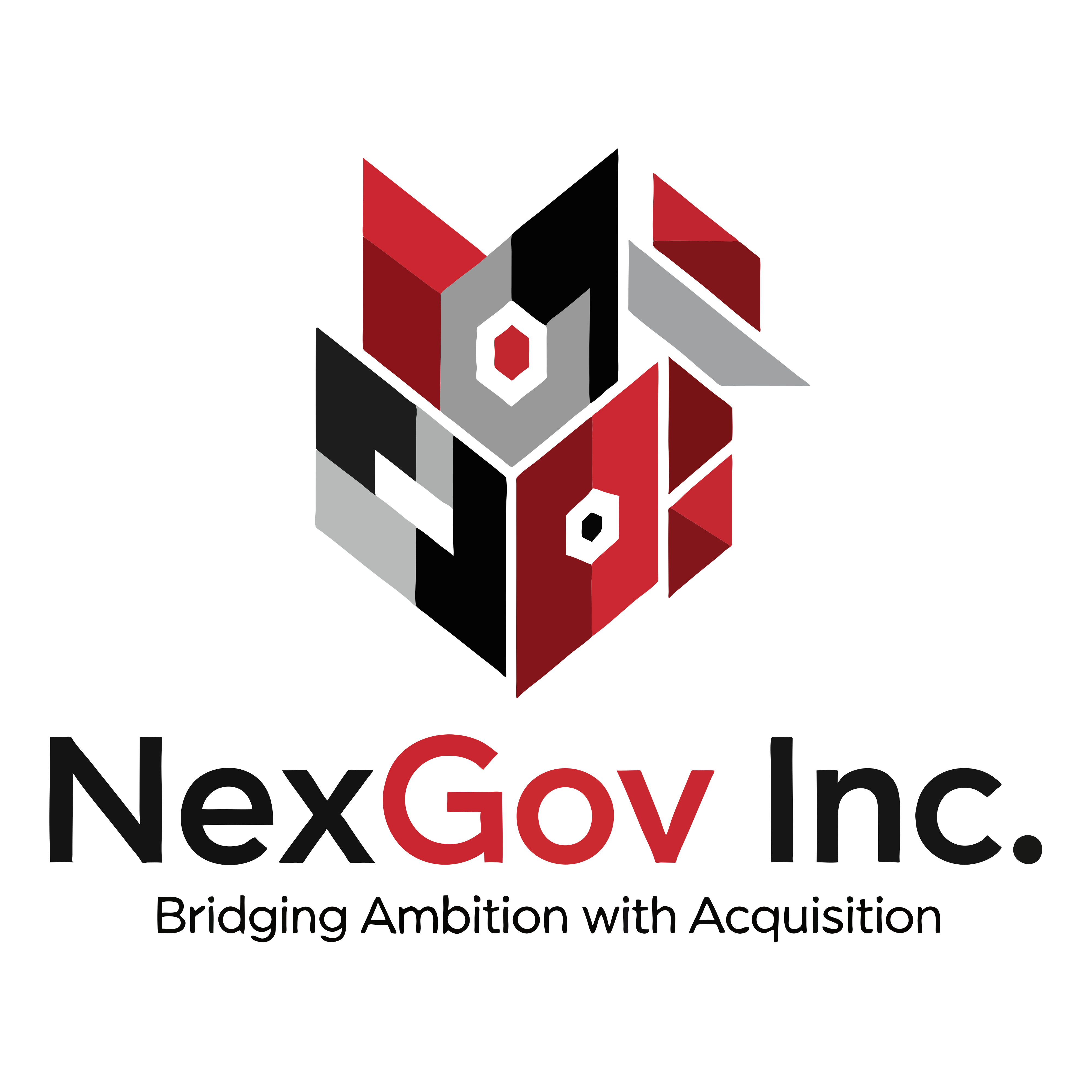 NexGov Inc. logo